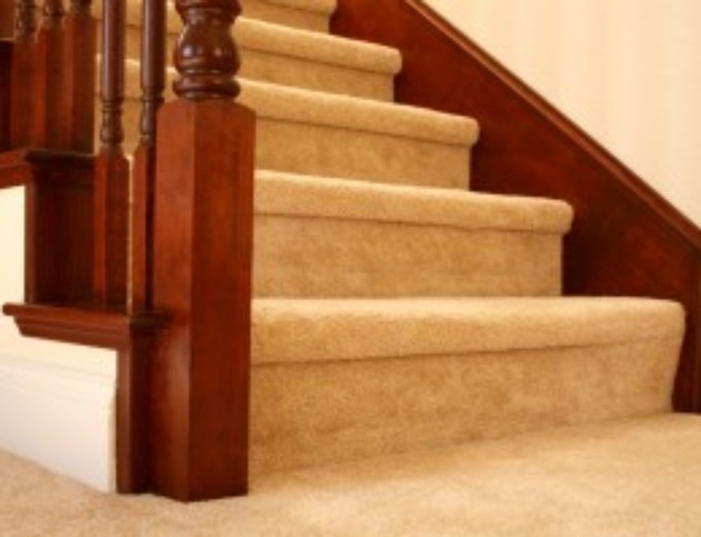 Carpet Cleaning Best Care on Colors